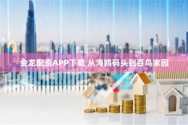 金龙配资APP下载 从海鸥码头到百鸟家园